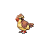 pidgey front facing sprite