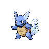 wartortle front facing sprite